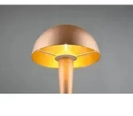 Trio R59561165 LED-Tischleuchte Canaria 1x4,9W | E14 |IP20 - 470lm | 3000K -