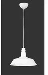 TRIO R30421001 Will H&auml;ngeleuchte E27 1x60W