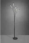TRIO R41031532 LED Stehleuchte Reed 5x3,5W | 1750lm | 3000K | IP20 - Memory-Funktion,