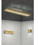 TRIO 223710130 LED Wandleuchte Brad 4W | 3000K - dimmbar