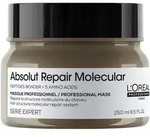 L'Or&eacute;al Professionnel Paris Serie Expert Absolut Repair Molecular Professional Mask