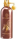 Montale Arabians Musk Eau de Parfum 100 ml