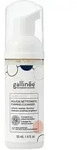 Gallin&eacute;e Foaming Cleanser 50 ml
