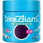 La rich'e Directions Haart&ouml;nung Plum 100 ml