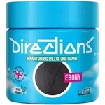 La rich'e Directions Haart&ouml;nung Ebony 100 ml