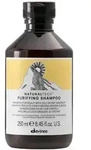 Davines Naturaltech Purifying Shampoo 250 ml