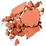 SENSAI CELLULAR PERFORMANCE Total Finish Foundation 25 TOPAZ BEIGE, 11 g