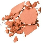 SENSAI CELLULAR PERFORMANCE Total Finish Foundation 23 ALMOND BEIGE, 11 g