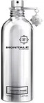 Montale Fougeres Marines Eau de Parfum 100 ml