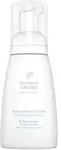 GERTRAUD GRUBER Reinigungsschaum 200 ml