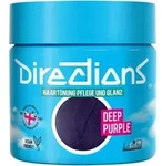 La rich'e Directions Haart&ouml;nung Deep Purple 100 ml