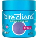 La rich'e Directions Haart&ouml;nung Wisteria 100 ml