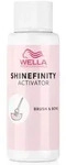 Wella Professionals Shinefinity Activator Brush & Bowl 60 ml