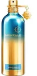Montale HERBAL AQUATICA Eau de Parfum 100 ml
