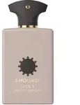AMOUAGE Library Opus V Woods Symphony Eau de Parfum 100 ml