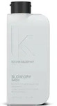 Kevin.Murphy Blow.Dry Wash 250ml