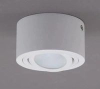 Briloner Leuchten 7121016, Briloner Leuchten LED Aufbauleuchte, &Oslash; 9 cm, 5 W, Wei&szlig;