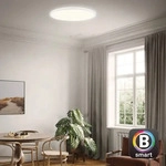 Briloner Leuchten 7059016, Briloner Leuchten CCT LED Panel, &Oslash; 42 cm, 22 W, 3000 lm,