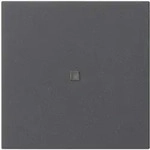 Gira System 3000 eNet Funk Bedienaufsatz (anthrazit)