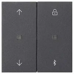 Gira System 3000 Jalousie- und Schaltuhr Bluetooth (anthrazit)