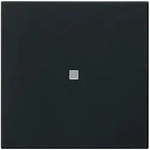 Gira System 3000 Bedienaufsatz Bluetooth (schwarz matt)