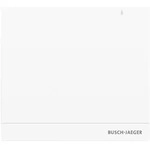 Busch-free@home&reg; System Access Point 2.0