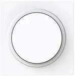 Busch-Jaeger Zentralscheibe f&uuml;r Dimmer Drehknopf mit Glimmlampe, Busch-art linear&reg;
