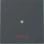 Gira Wippe mit Kontrollfenster und Aufdruck "Heizung Ein/Aus" (anthrazit)