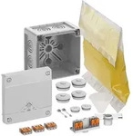 Spelsberg Abzweigkasten Abox Pro XTSLK-42, 102 x 102 x 70 mm, inkl. WAGO-Klemmen