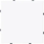 Busch-Jaeger Zentralscheibe Blindabdeckung mit Tragring, Busch-art linear&reg;