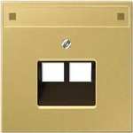 Jung UAE-Abdeckung mit Schriftfeld, 2-fach (Messing Classic)