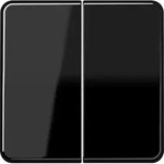 JungSteuertaste Standard 2fach (schwarz)