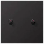 JungAbdeckung mit 2 Kipphebeln, mit Lichtleiter Zylinder (Dark)