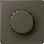 Abdeckung f&uuml;r Drehdimmer (ombre naturelle 31)