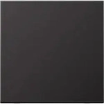 JungSteuertaste Standard (Dark)