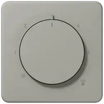 Jung Abdeckung f&uuml;r Thermostat (platin)