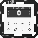 JungSmart Radio DAB+ Bluetooth (alpinwei&szlig;)