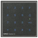 Keyless In Codetastatur (anthrazit)