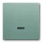 Bedienelement f&uuml;r z.B. Tastdimmer (alusilber)