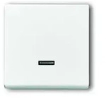 Bedienelement f&uuml;r z.B. Tastdimmer (studiowei&szlig; matt)
