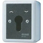 Jung WG 800 - Schl&uuml;sselschalter 16 AX 250 V ~- Universal Aus-Wechselschalter, 2-pol.