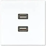 Jung Multimedia-Einsatz 2 x USB (alpinwei&szlig;)