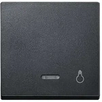 Merten Wippe mit Kontrollfenster und Aufdruck Licht, System M (anthrazit matt)