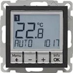 Temperaturregler zeitgesteuert mit Schlie&szlig;er (anthrazit, matt)