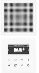 JungSmart Radio DAB+, Set Mono (alpinwei&szlig;)