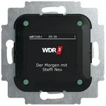 Busch-Jaeger Busch-Radio DAB+