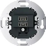 Berker USB Ladesteckdose 230 V, 2fach, 3.0A, runder Tragring, anthrazit matt