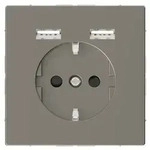Merten SCHUKO-Steckdose mit USB Ladestation, System Design, Nickelmetallic