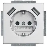 Busch-Jaeger SCHUKO&reg; Steckdosen-Einsatz mit 2x USB-Steckdose (alusilber)