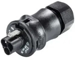 Wieland Steckverbinder RST20I3S S1 ZR1V SW, Stecker, 3pol